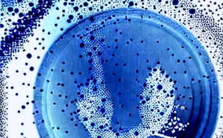 The Great Unwind: How Corporate Bitcoin Holdings Are Becoming AI Fuel
